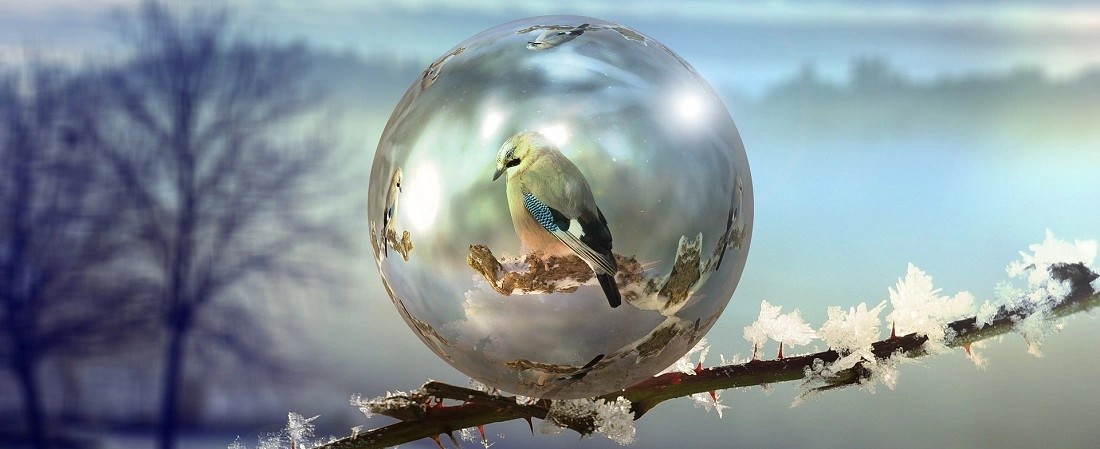 1. 1. STYLEUP_GUIDE_HEALTH_AND_BEAUTY_TIPS_ALL_ABOUT_MAGNESIUM_Bird_in_a_protective_bubble.webp